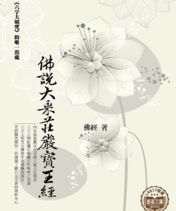 佛說大乘莊嚴寶王經