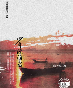 少年漂泊者