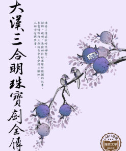 大漢三合明珠寶劍全傳
