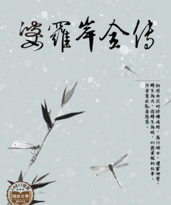 婆羅岸全傳