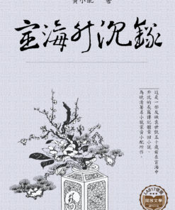 宦海升沉錄