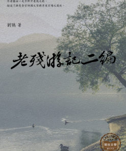 老殘遊記二編