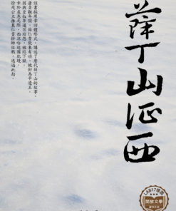 薛丁山征西