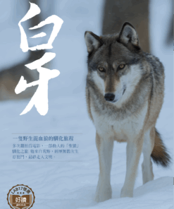 白牙