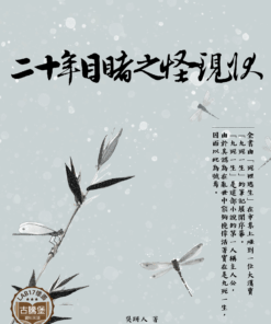 二十年目睹之怪現狀